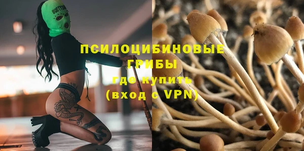 трава Бородино