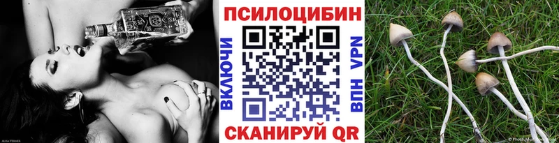 Галлюциногенные грибы Psilocybe  Козьмодемьянск 